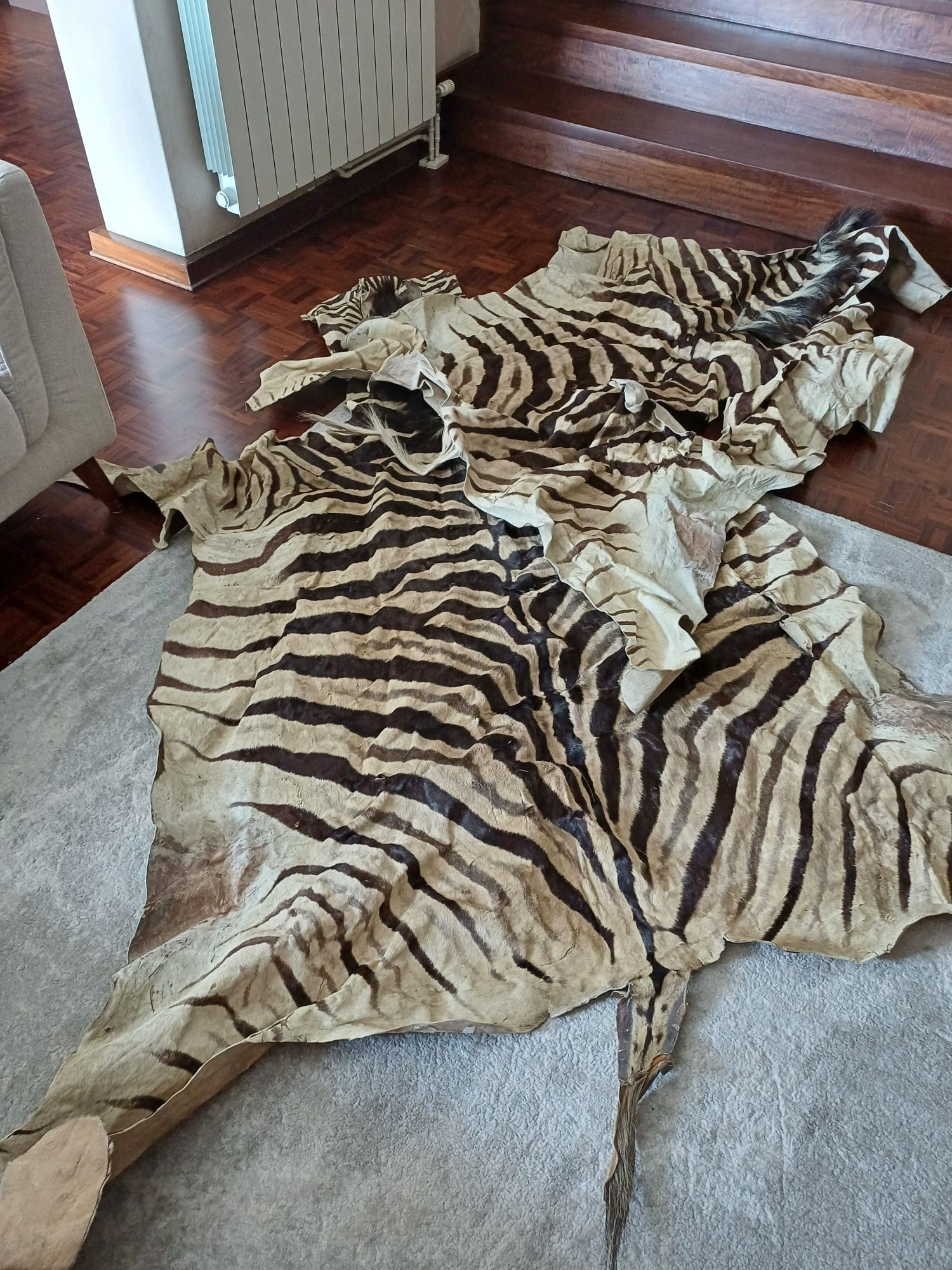 Dois tapetes em pele zebra