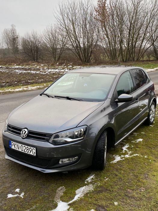 Polo serwisowane klima