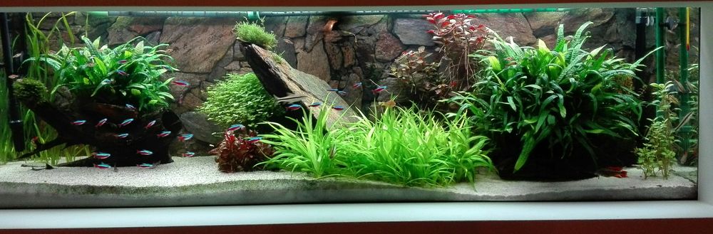 Akwarium z osprzętem około 300 l