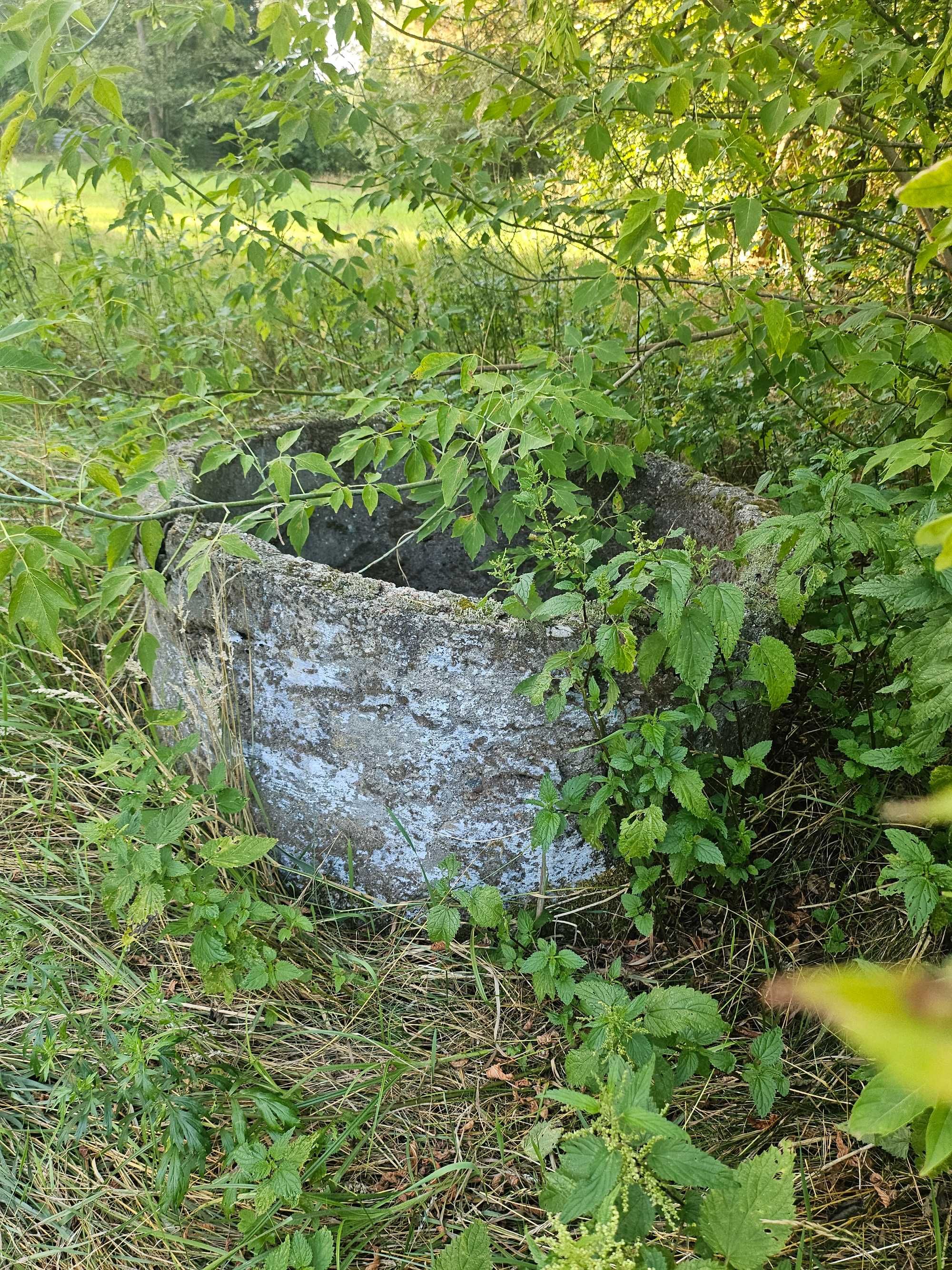 Siedlisko, Rolne, Brzozówka 36.600 m2 w otulinie Kampinosu