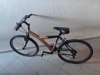 Bicicleta Senhora Personalizada