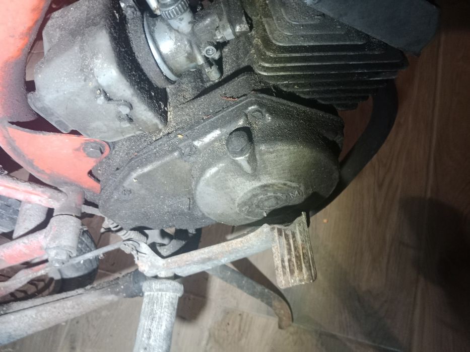 Ogar 205 opłacony zarejestrowany