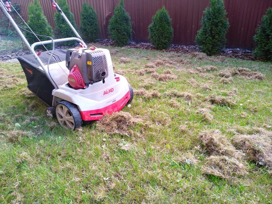 Стрижка газону, аерація, скарифікація, піджвлення, посів газону