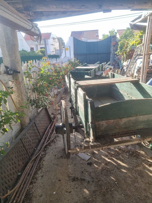 Venda de carroças para coleção