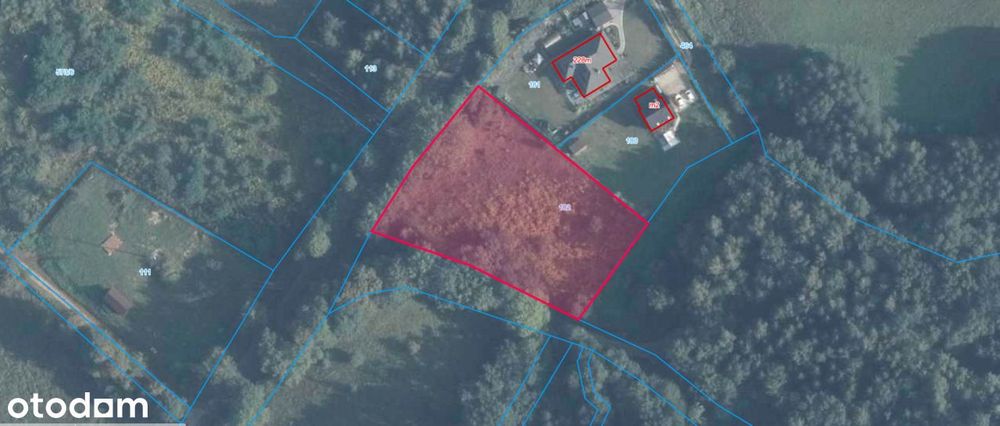 Działka w Nowinie otulona zielenią.