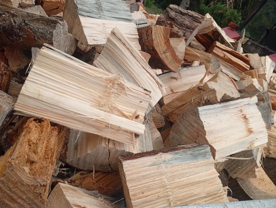 Drewno opałowe/kominkowe