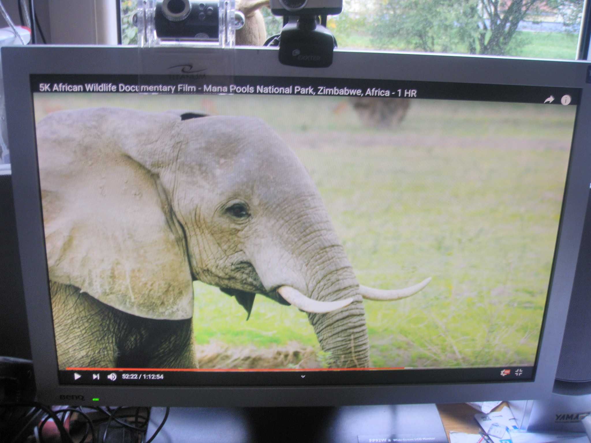 Monitor BENQ 19" Tco 03 Displeys ładne kolory stan bdb
