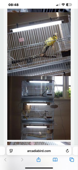 Комплект для птахів Arcadia Bird 8w UVB MiniKit і