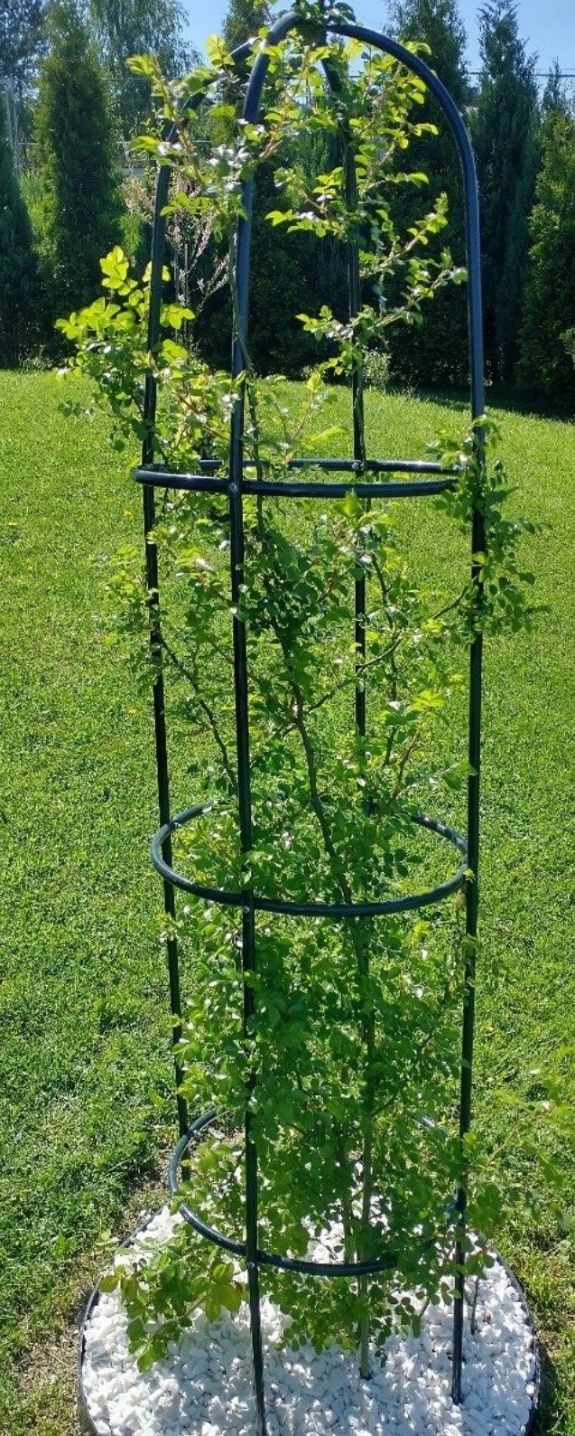 Pergola ogrodowa kolumnowa metalowa ciemno zielona 40x40x190
