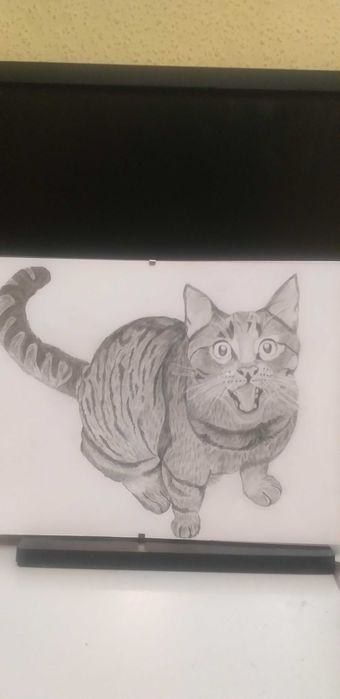 Rysunek na zamówienie ze zdjęcia