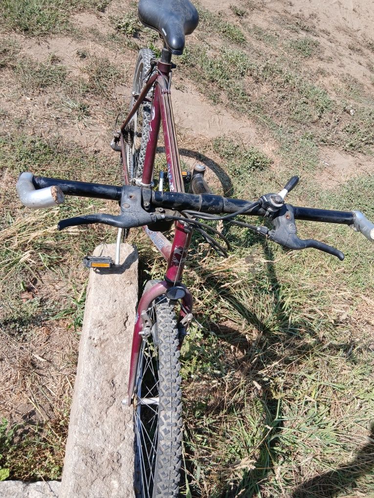 Bicicleta de adulto