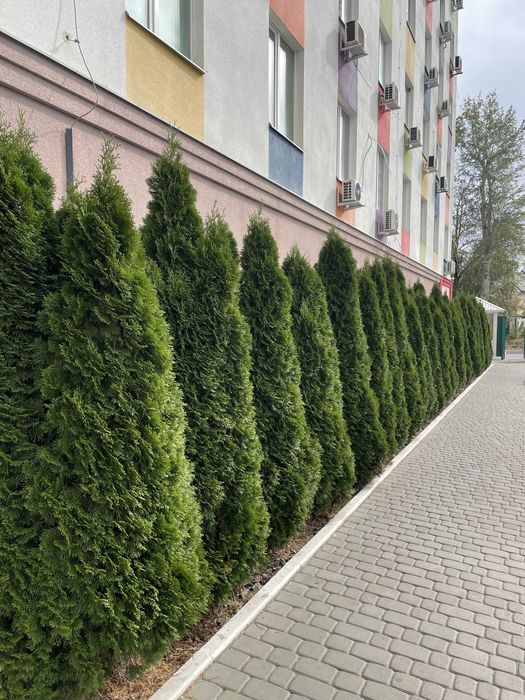 Продам дворівневу з чорновим ремонтом м. Академіка Павлова