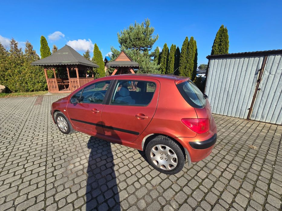 Peugeot 307 1.4 gaz sekwencja sprawny