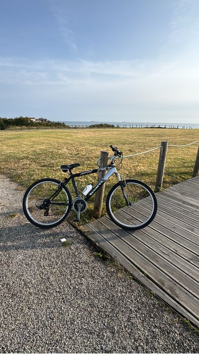 Bicicleta TEAM adulto