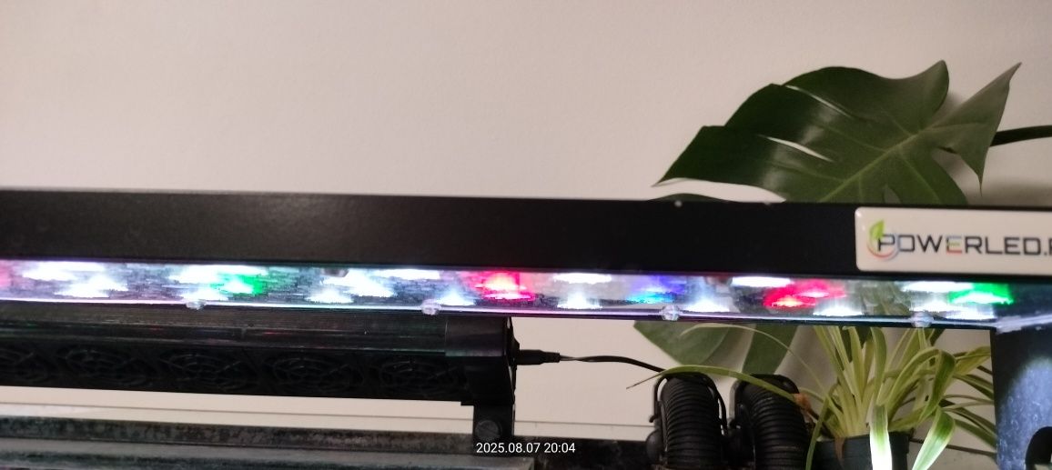 Sprzedam akwarium 450l z całym osprzętem  i szafką