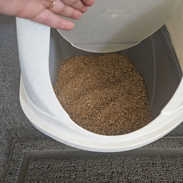 Kuweta dla kota z wycieraczką i żwirkiem