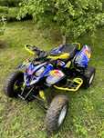 Polaris Predatot 500