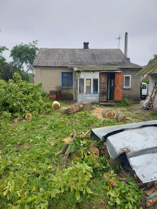 Зрізання дерев . Омолджування,санітарна обрізка