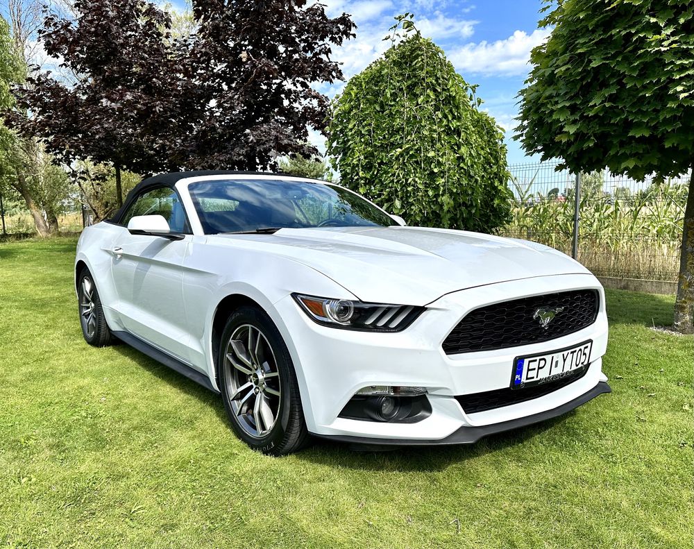 FORD Mustang CABRIO wynajem wypożyczalnia OKAZJA!-50% na 30dni