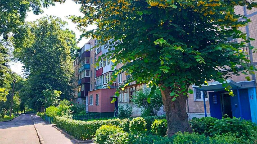 Продам 3 комнатную квартиру. Метро  Академика Павлова 15 минут.