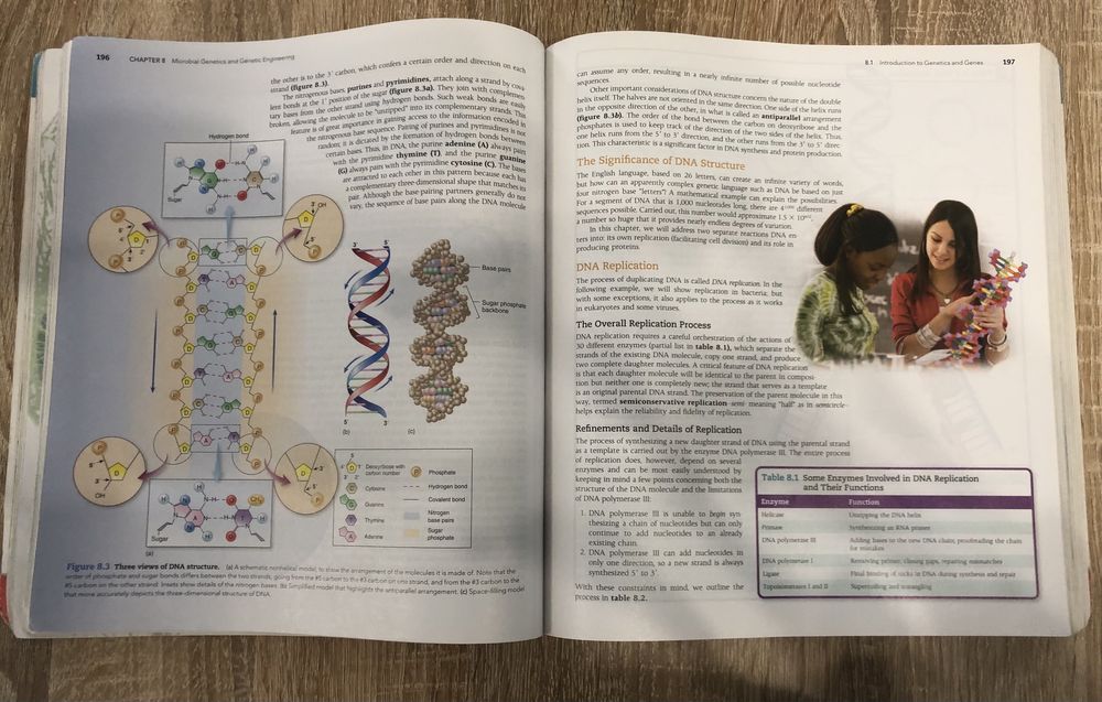 Посібник Microbiology Fundamentals