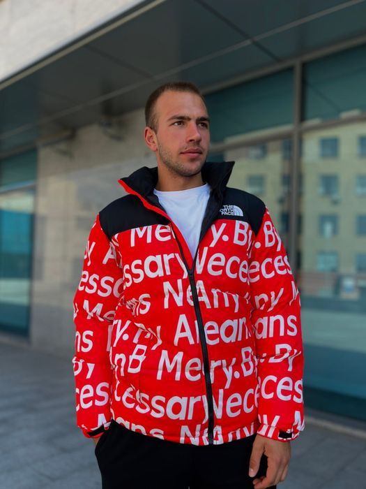 Зимовий пуховик The North Face унісекс