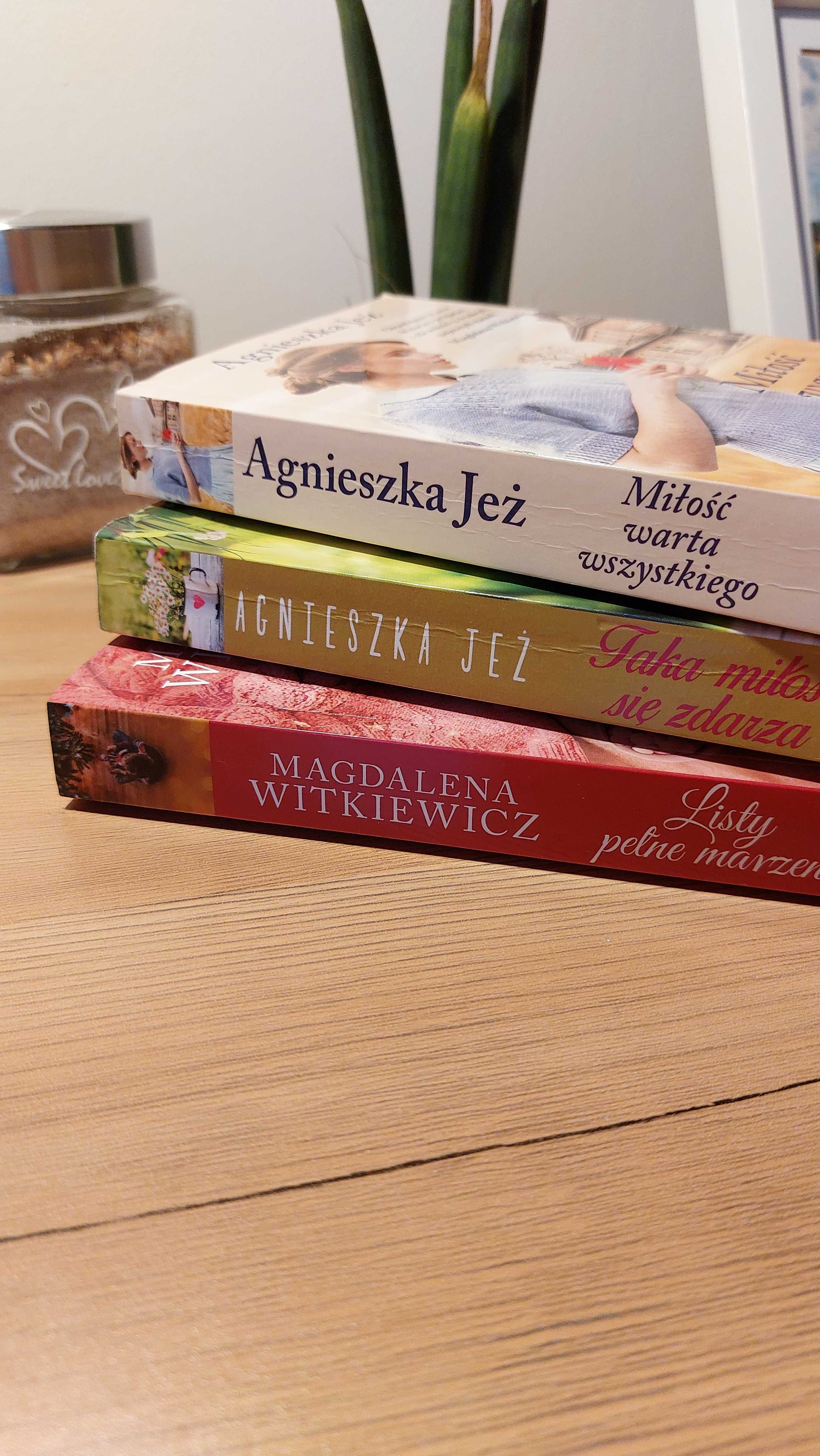 Polskie książki obyczajowe Witkiewicz Jeż