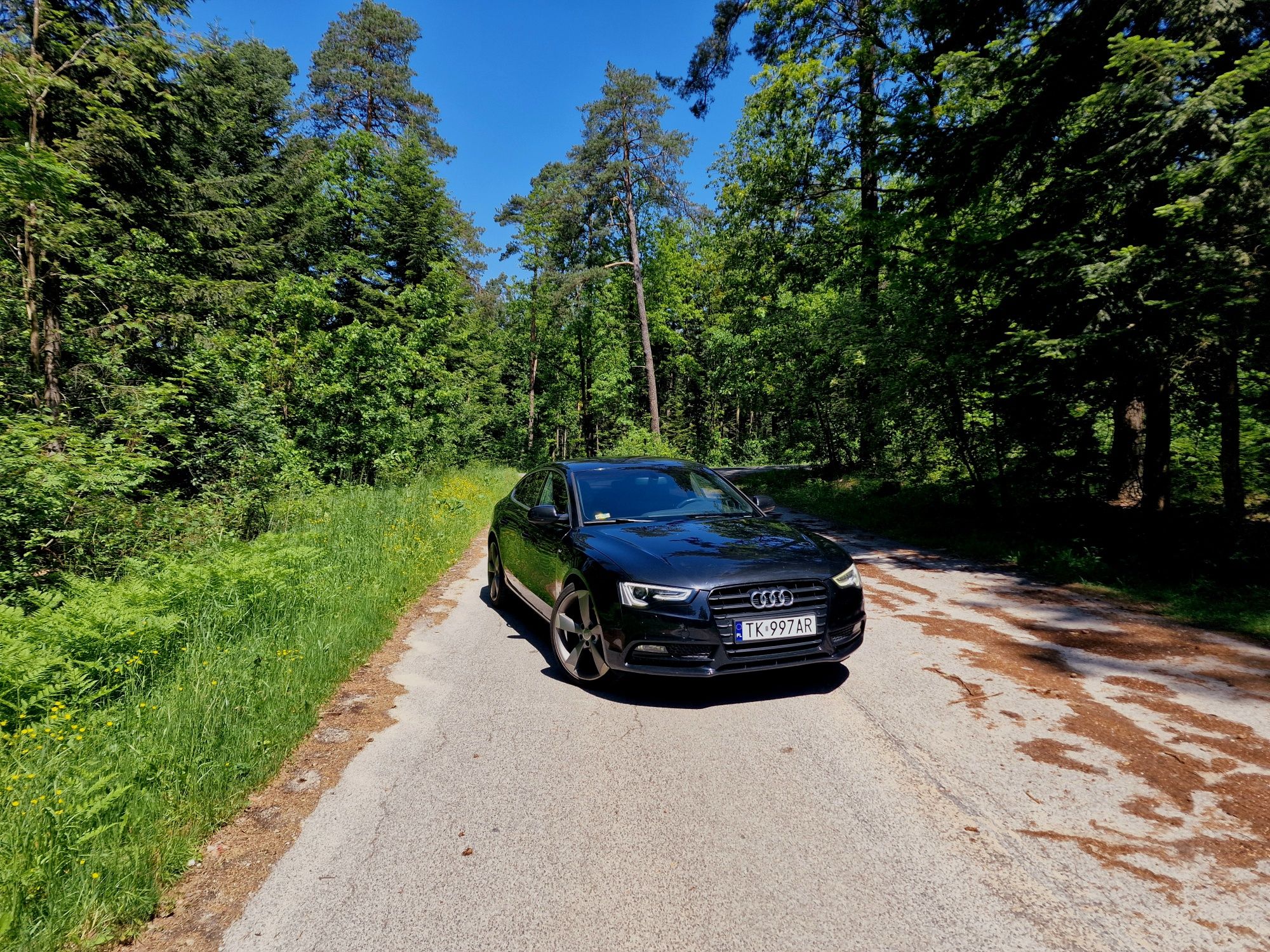 Audi A5 2013 Sline, Rotor, Navi, B&O