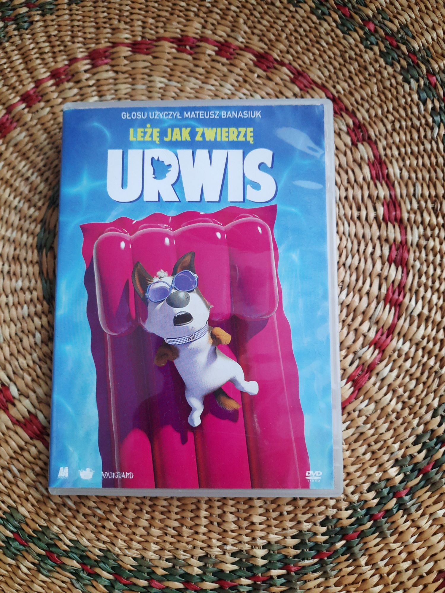 DVD z bajką Urwis