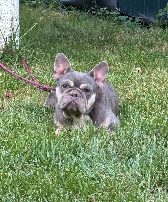 Гарнюня дівчинка 3 роки