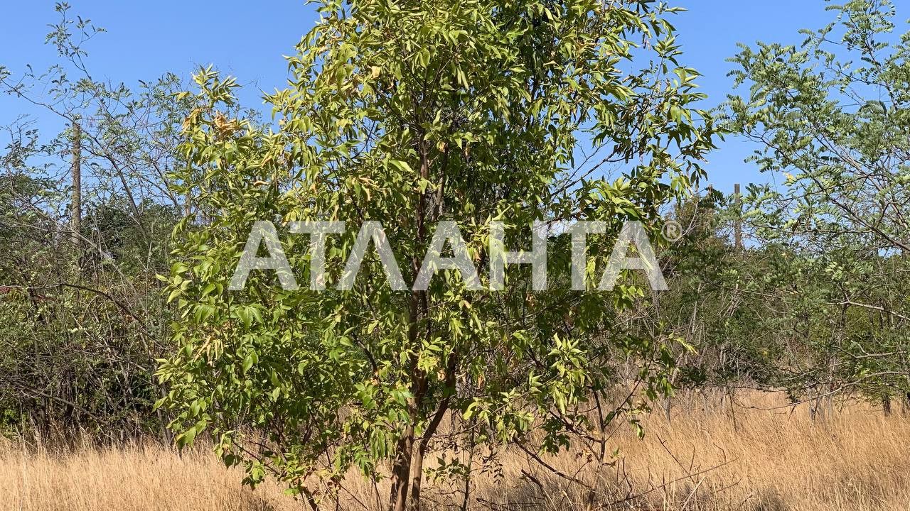 Участок в Каролино-Бугазе