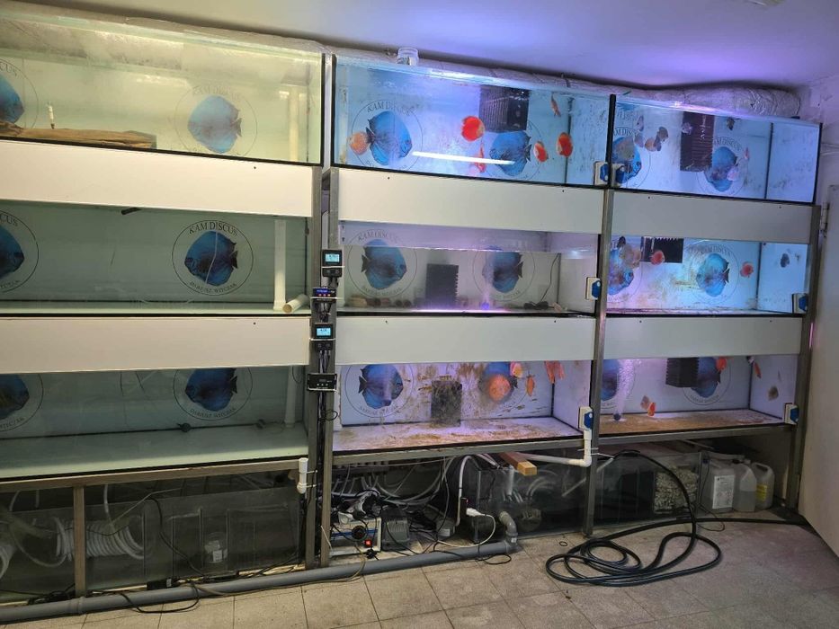 Regały akwaria  kompletne gotowe do hodowli