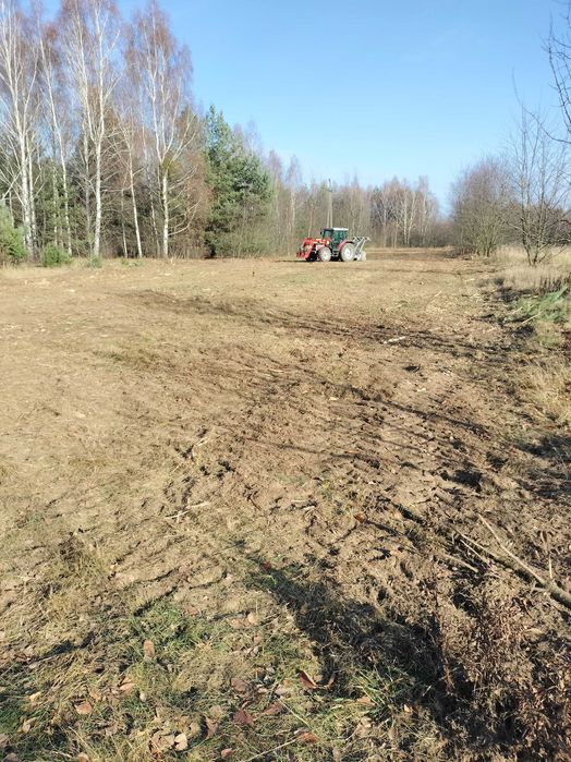 wycinka drzew, mulczer, zwyżka frezowanie pni