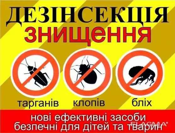 уничтожение тараканов  блох вывести клопов знищення тарганiв клопiв