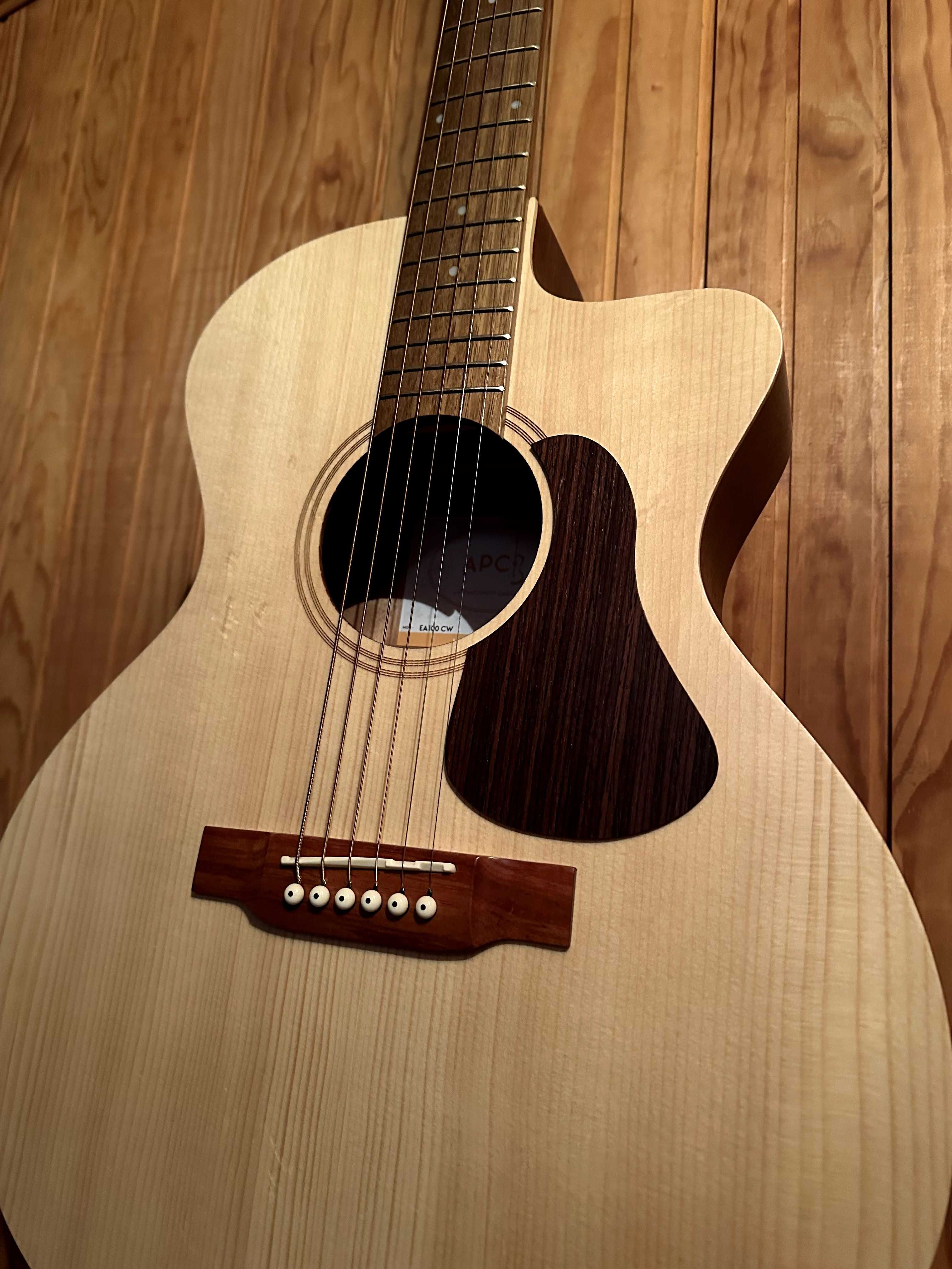 Guitarra Acustica APC