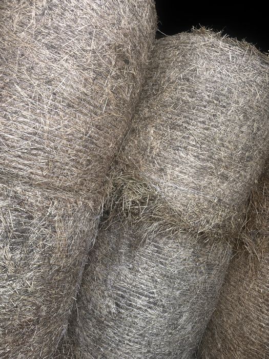 Siano w balach pierwszy pokos