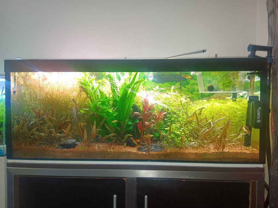 Aquario 100x40x40 160 litros
