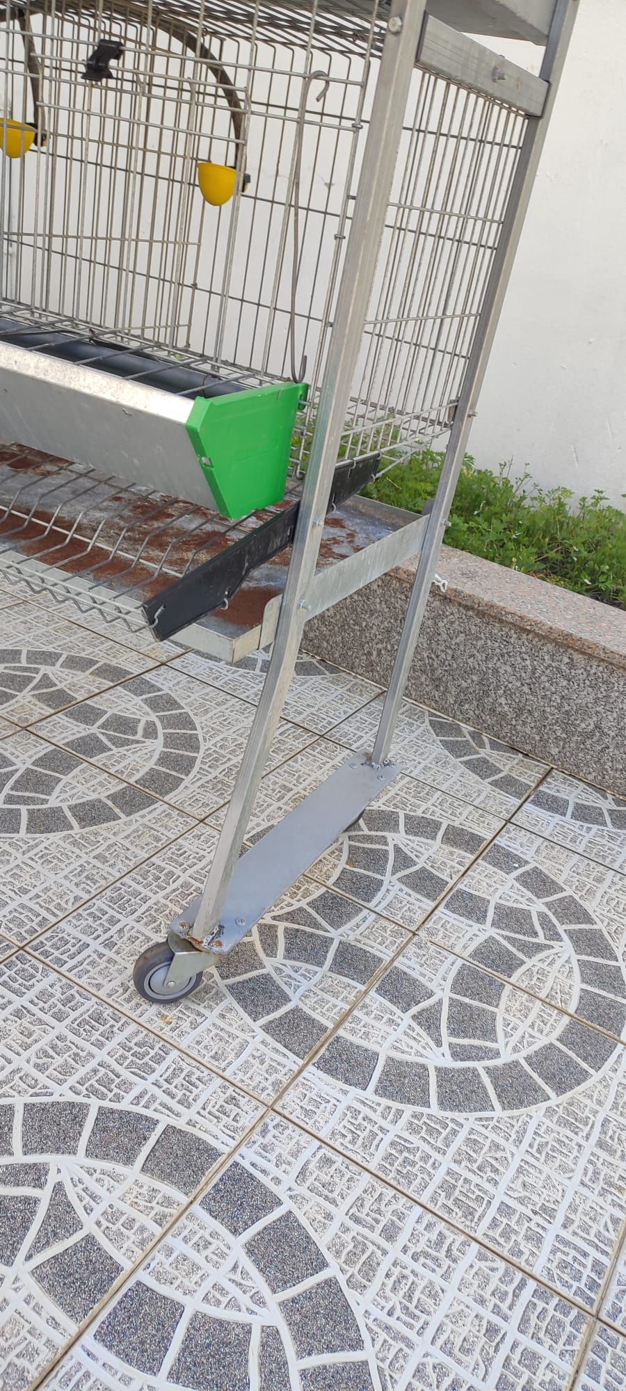 Galinheiro galinhas meter ovos