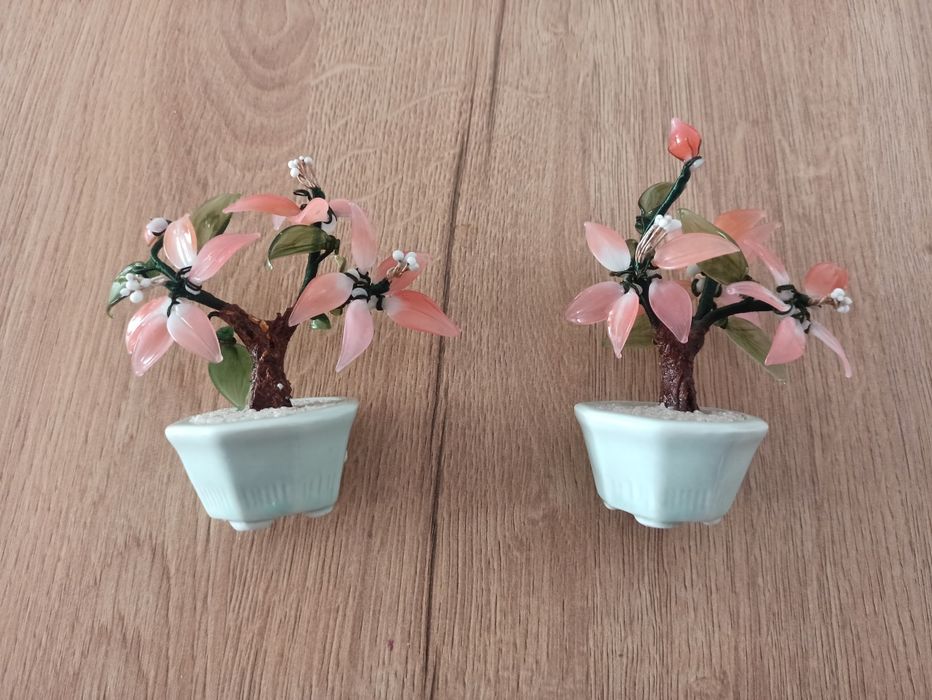 Jadeitowe drzewka bonsai