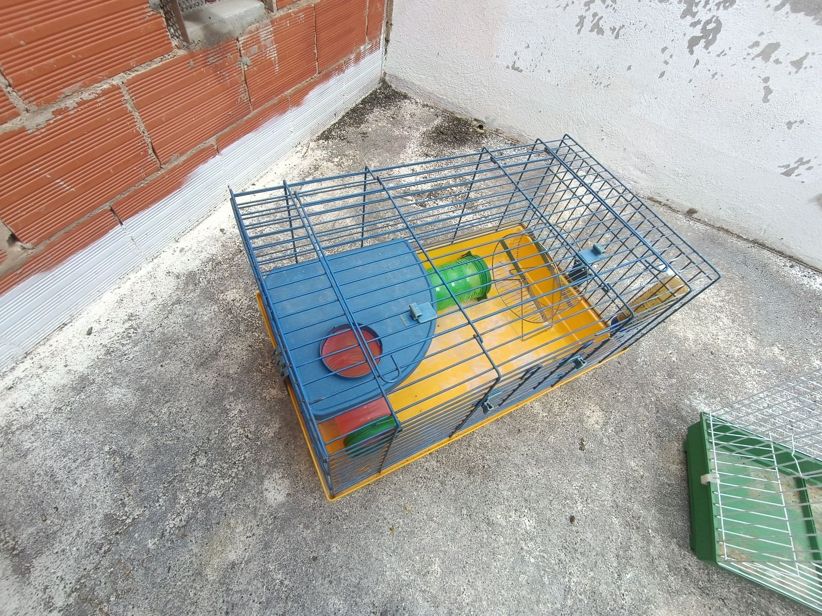 Gaiolas de porquinho da Índia