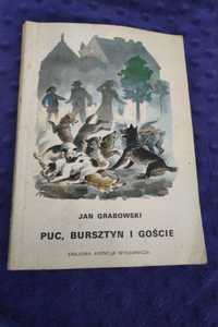 Książka puc bursztyn i goście