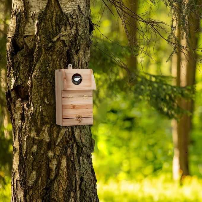 Budka lęgowa z otwieraną klapką
