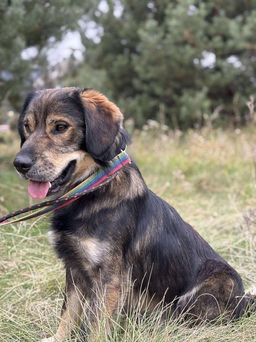 Nakolankowy przytulak Zami