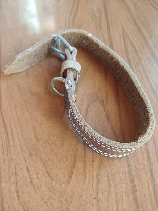 Ошейник шкіряний для собак