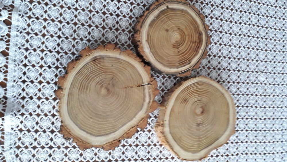 Suche plastry drewna akacji 15-18 cm plaster drzewa