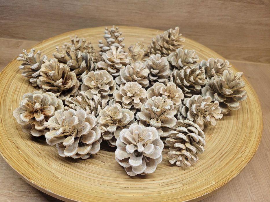 kolorowe żołędzie jesienne dodatki szyszki świąteczny akcent