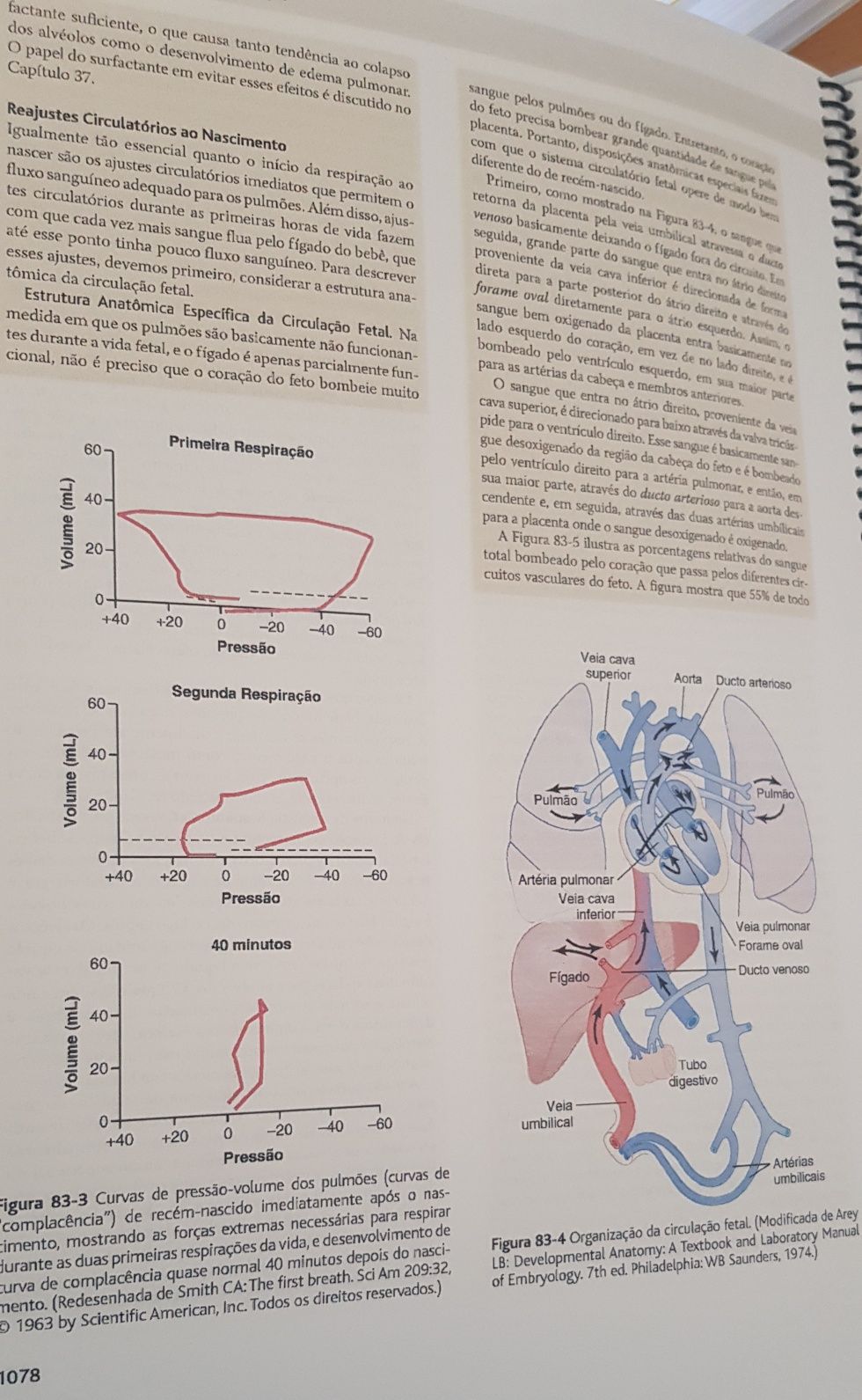 Tratado de Fisiologia Médica Guyton & Hall