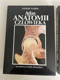 Atlas anatomii człowieka Tom I i II Jànos Vajda stan bardzo dobry