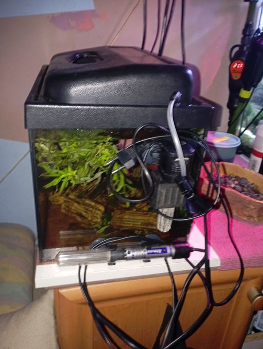 Terrarium 20litrow Turbo filtr PatMini 400l/h grzałka 50W