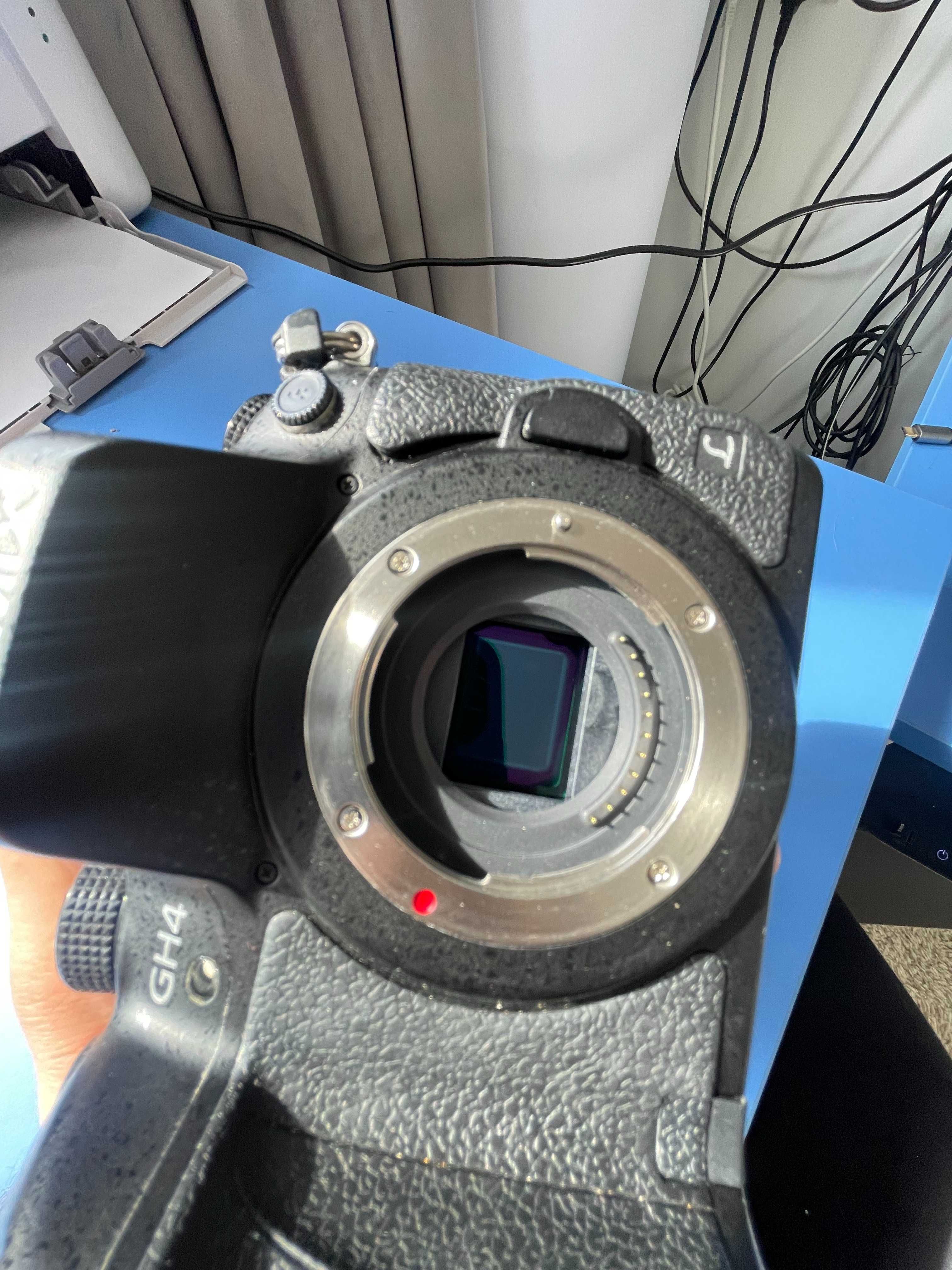 Panasonic Lumix GH4 v-log